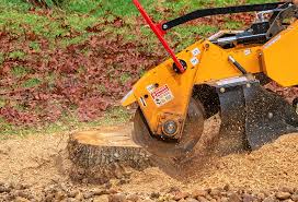 Best Tree Planting  in Butler, NJ