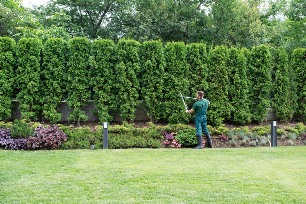 Best Lawn Grading and Leveling  in Butler, NJ